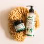 Preview: alkmene-mildes-waschgel-bio-aloe-vera-180-ml-395071~2.jpg