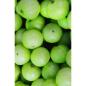 Preview: khadi-ayurvedisches-elixier-shampoo-amla-volume-200-ml-60749~4.jpg