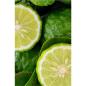 Preview: khadi-dusch-und-badegel-amla-neroli-210-ml-308603~4.jpg