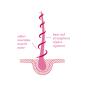 Preview: khadi-haaroel-rose-repair-50-ml~3.jpg