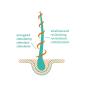 Preview: khadi-haaroel-vitality-grow-50-ml~3.jpg
