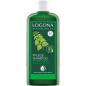 Preview: logona-shampoo-brennessel-pflege-shampoo-250-ml.jpg