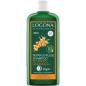 Preview: logona-shampoo-sanddorn-repairpflege-250-ml.jpg