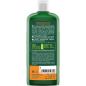 Preview: logona-shampoo-sanddorn-repairpflege-250-ml~2.jpg