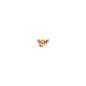 Preview: scratch-2in1-stapeln-und-kegeln-tiere-426687~2.jpg