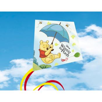guenther-einleinerdrachen-winnie-416177~3.jpg