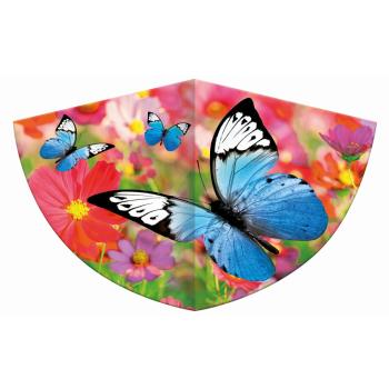 guenther-kinderdrachen-schmetterling-3-416171.jpg