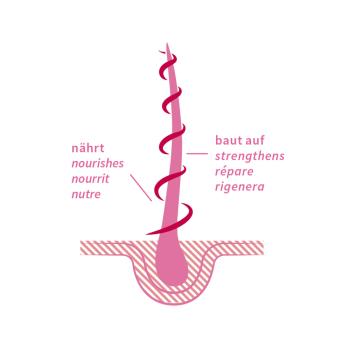 khadi-haaroel-rose-repair-50-ml~3.jpg