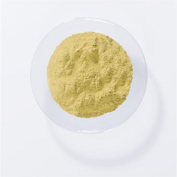 khadi-pflanzenhaarfarbe-goldhauch-100-g-150308~2.jpg