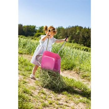 rollytoys-metallschubkarre-pink~3.jpg
