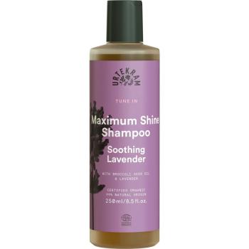 urtekram-shampoo-tune-in-lavender-250-ml.jpg