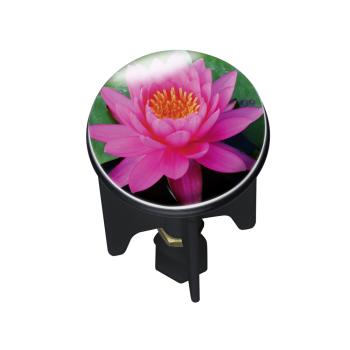 wenko-abfluss-stopfen-pluggy-pink-lily.jpg