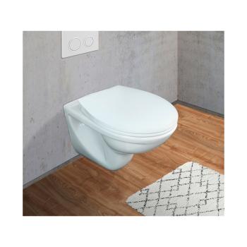 wenko-wc-sitz-dazio-easy-close-weiss-duroplast-425460~2.jpg