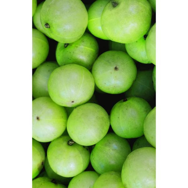 khadi-ayurvedisches-elixier-shampoo-amla-volume-200-ml-60749~4.jpg
