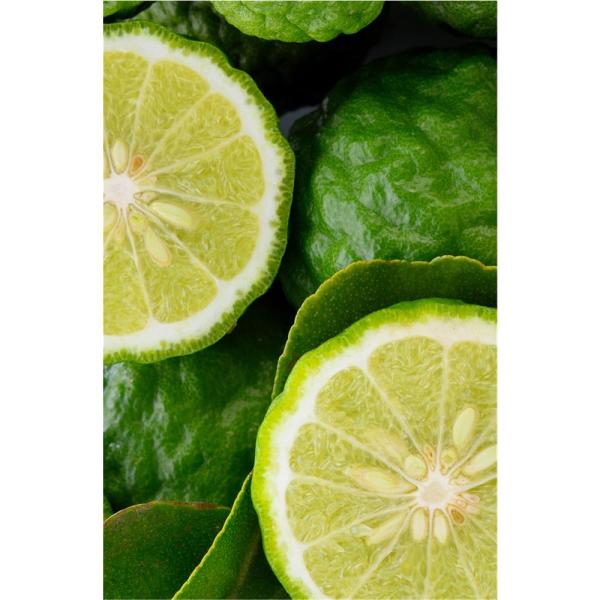 khadi-dusch-und-badegel-amla-neroli-210-ml-308603~4.jpg