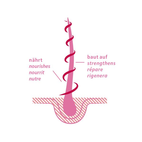 khadi-haaroel-rose-repair-50-ml~3.jpg