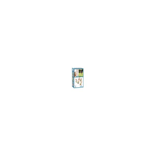 scratch-ringwurfspiel-tukan-426685.jpg